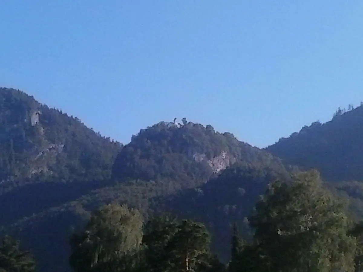 Berggasthaus Kraxenberger Brannenburg Gasthof