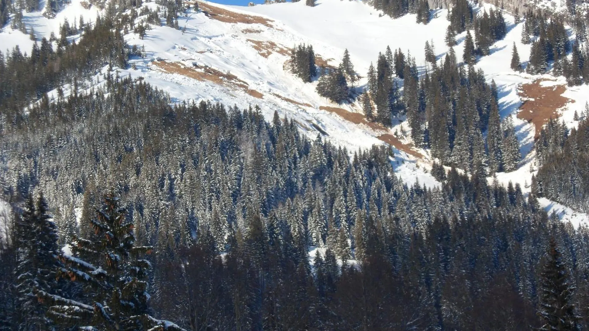 Gæstehus Berggasthaus Kraxenberger Brannenburg